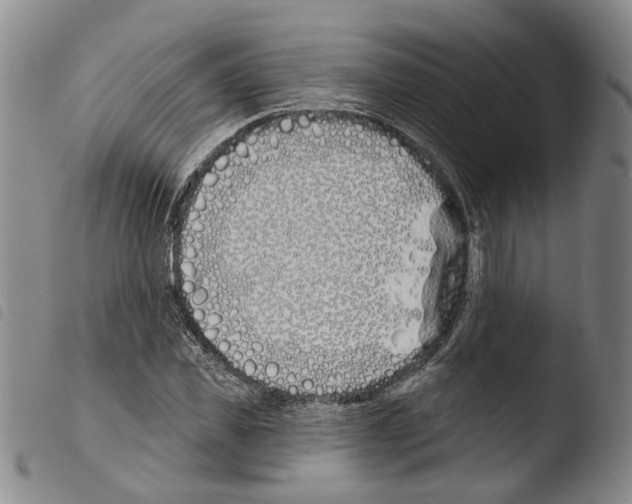 X0000103490925200810241057