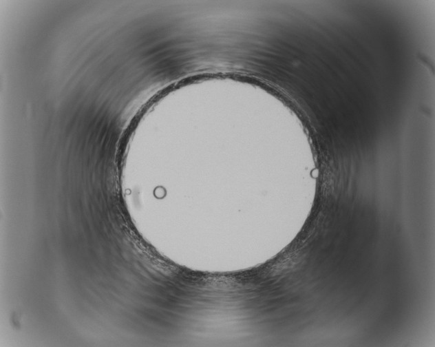 X0000103490927200810241058