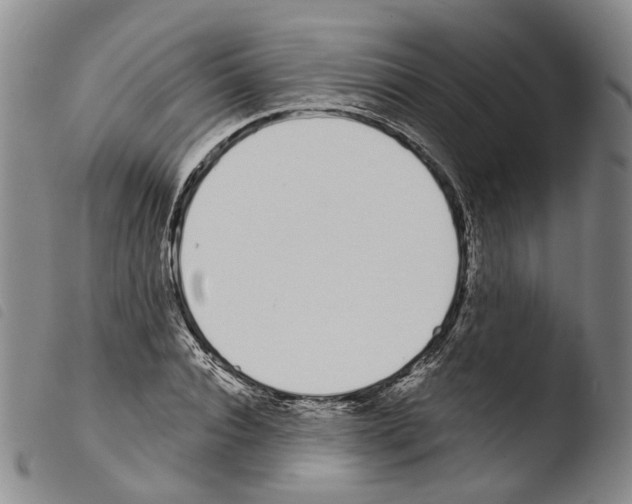 X0000103490928200810241058