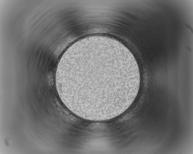 X0000103490929200810241058