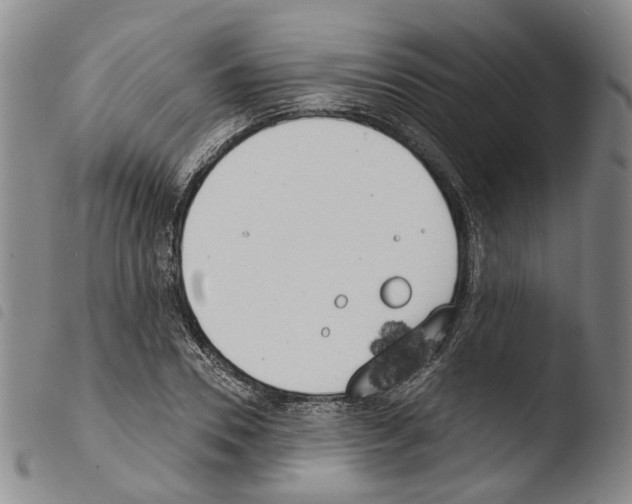 X0000103490930200810241058