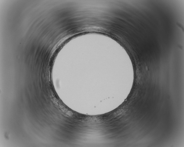 X0000103490931200810241058