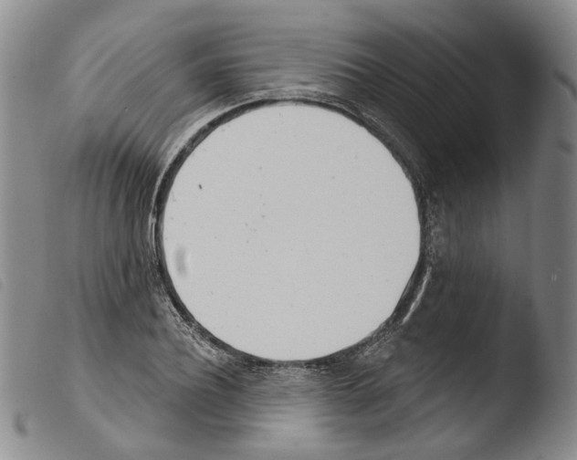 X0000103490932200810241058
