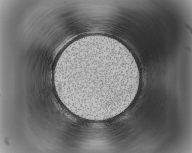 X0000103490933200810241058
