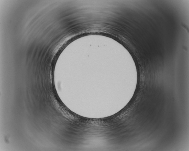 X0000103490934200810241058