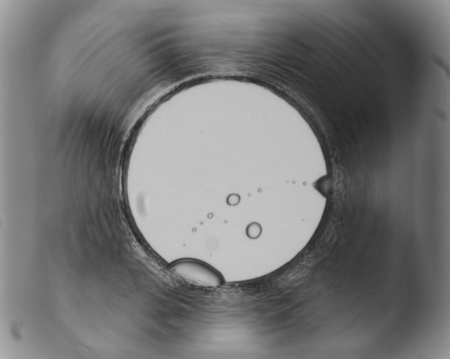 X0000103490935200810241058
