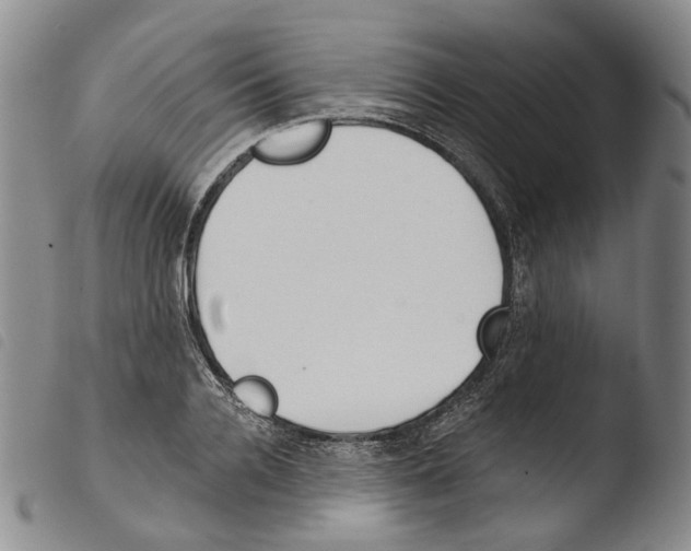 X0000103490936200810241058