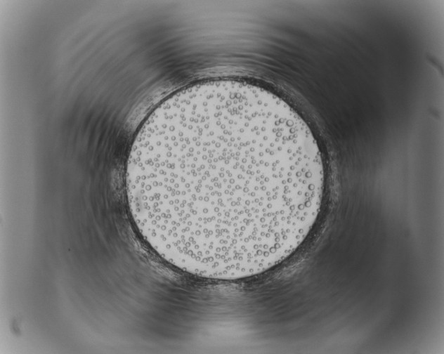X0000103490937200810241058