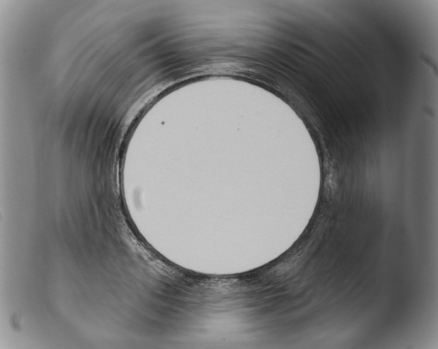 X0000103490939200810241058