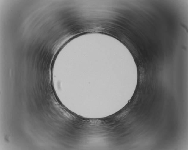 X0000103490940200810241058