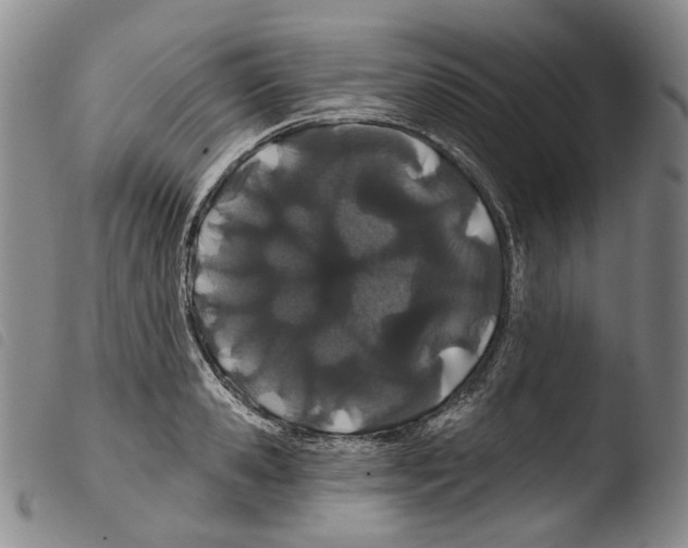 X0000103490941200810241058