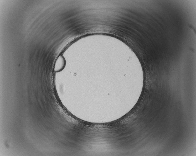 X0000103490942200810241058