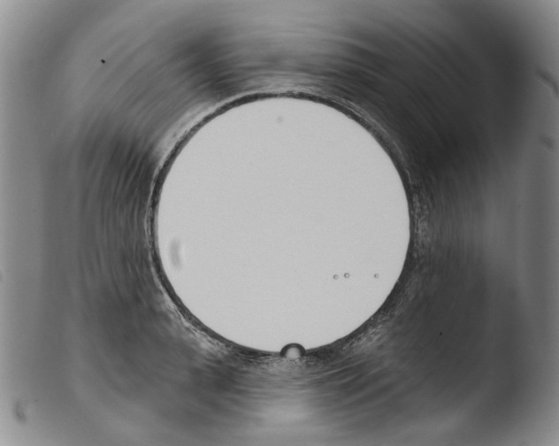 X0000103490943200810241058