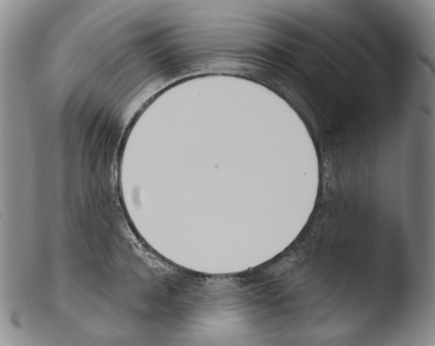 X0000103490944200810241058