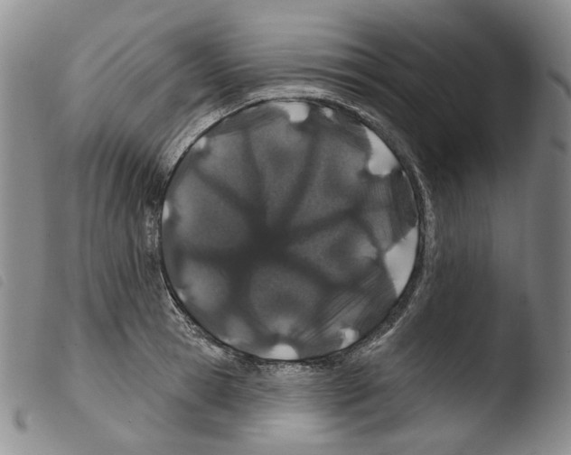 X0000103490945200810241058