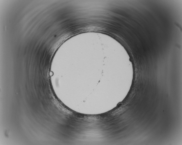X0000103490946200810241058