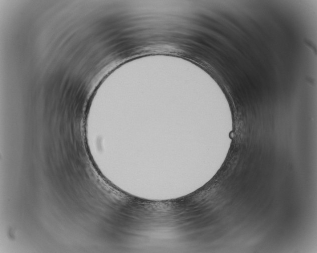 X0000103490947200810241058
