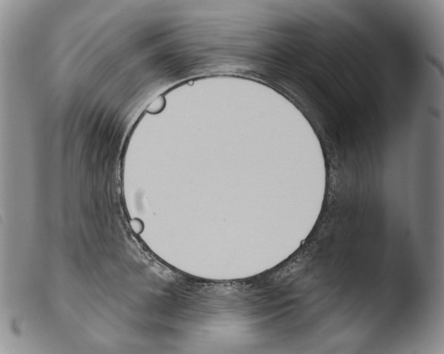 X0000103490948200810241058