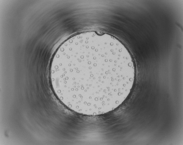 X0000103490949200810241058