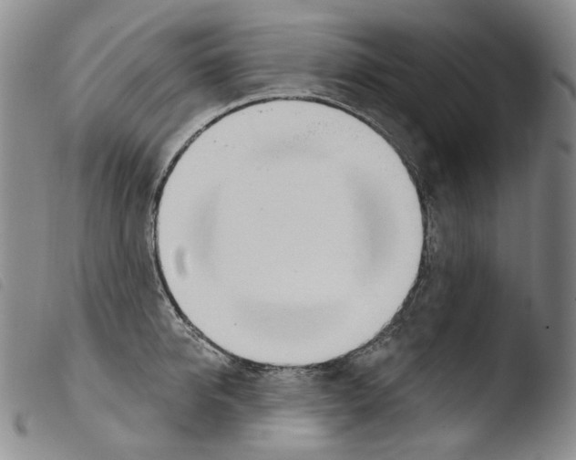 X0000103490950200810241058