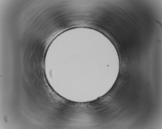 X0000103490951200810241058