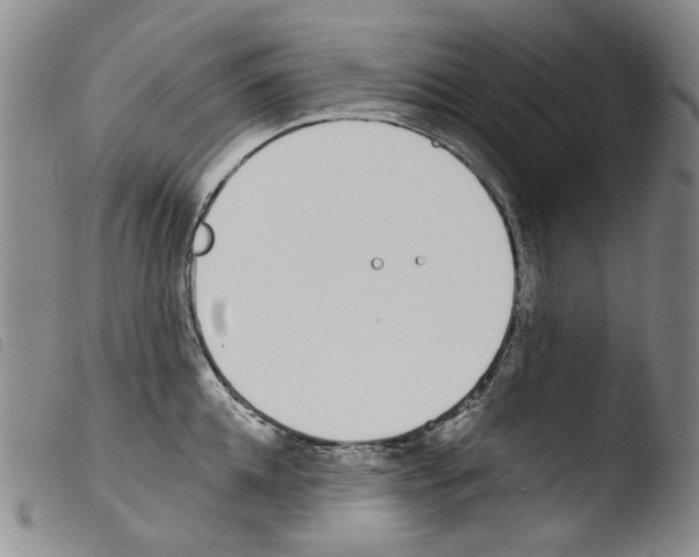 X0000103490952200810241058