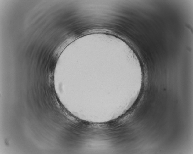 X0000103490953200810241058