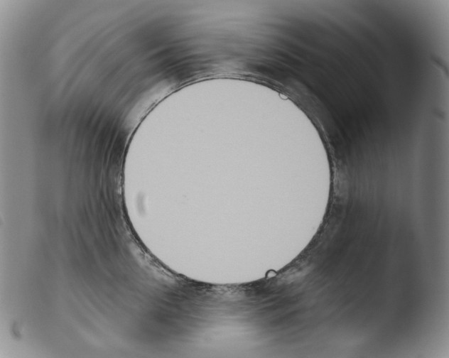 X0000103490954200810241058