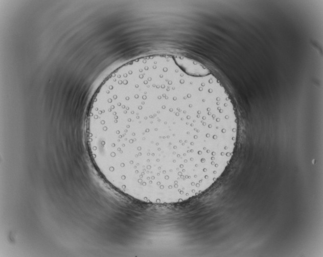 X0000103490955200810241058