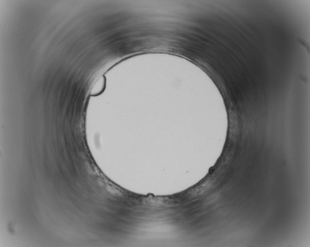 X0000103490956200810241058