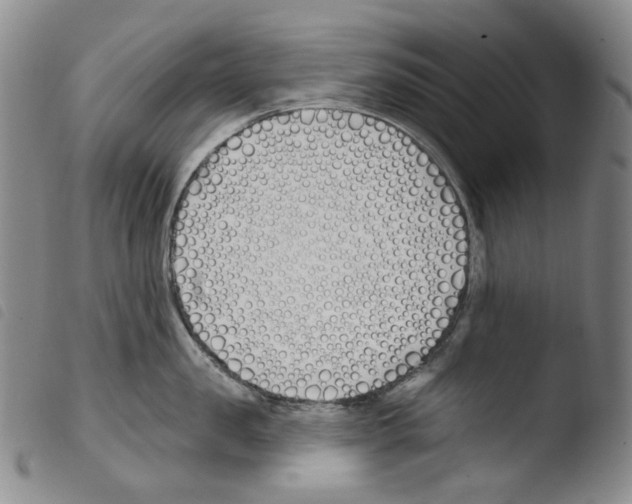 X0000103490957200810241058