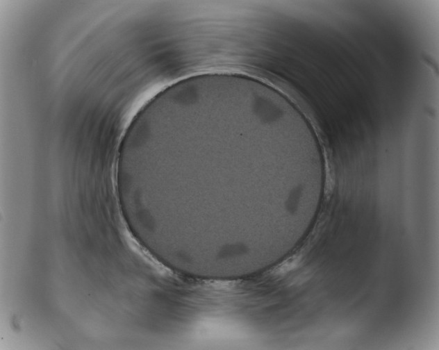 X0000103490958200810241058