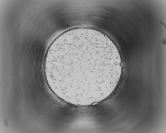 X0000103490959200810241058