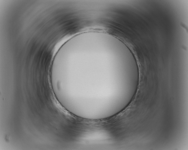 X0000103490960200810241058
