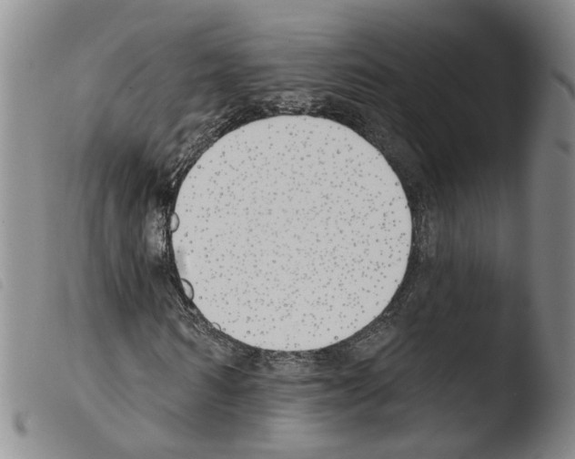 X0000103490962200810241057