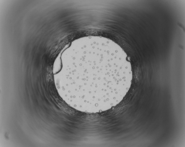 X0000103490964200810241057