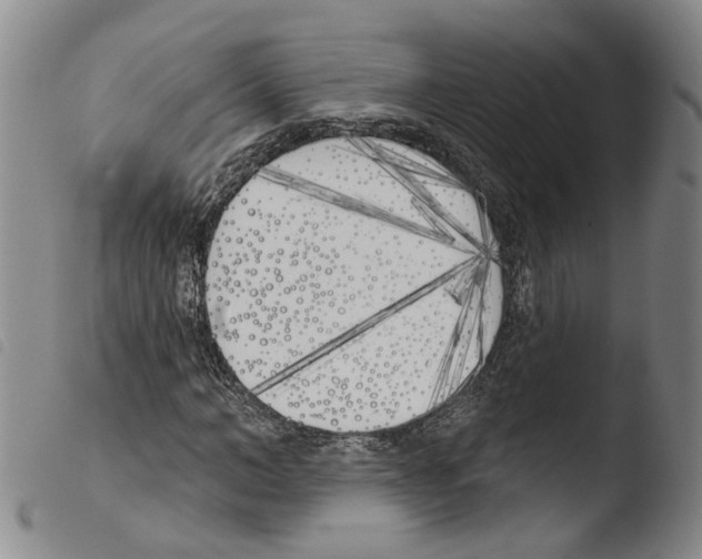 X0000103490966200810241057