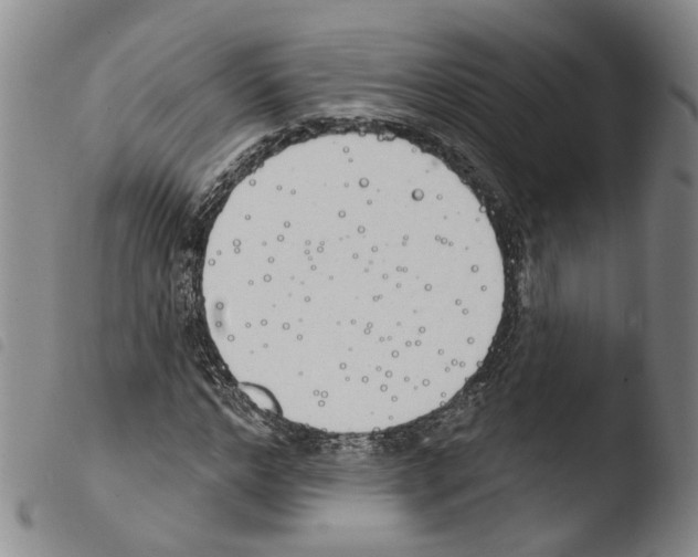 X0000103490968200810241057