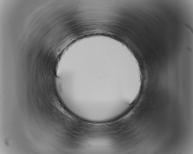 X0000103490969200810241057
