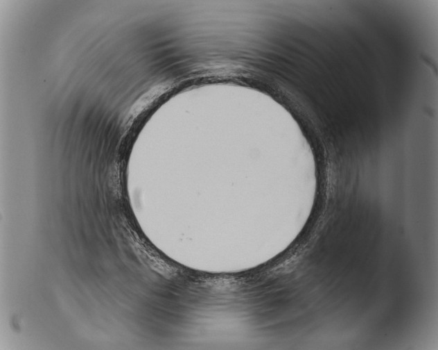 X0000103490970200810241057