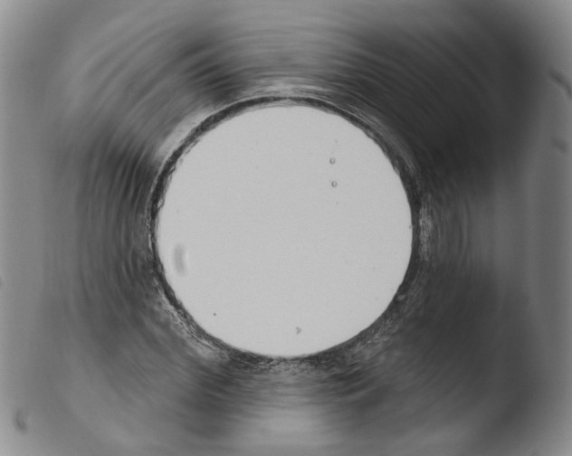 X0000103490972200810241057