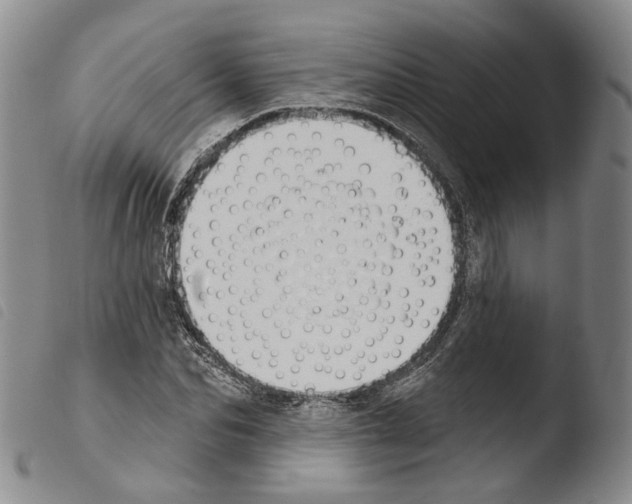 X0000103490974200810241057