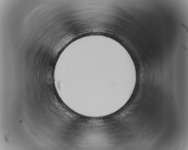 X0000103490977200810241057