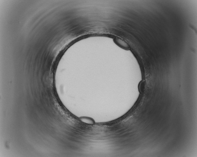 X0000103490981200810241057