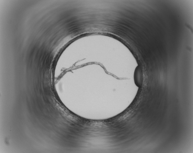 X0000103490982200810241057