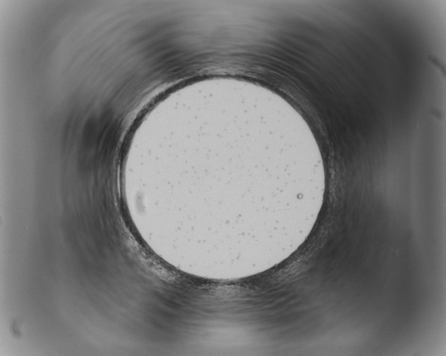 X0000103490984200810241057