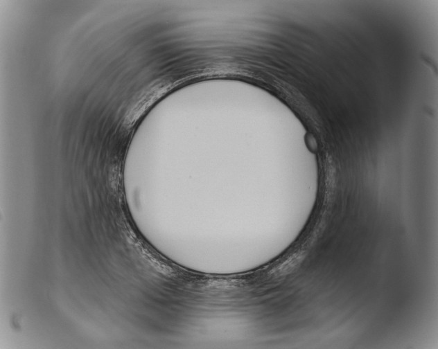 X0000103490985200810241057