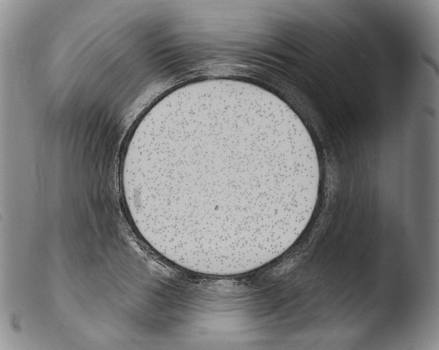 X0000103490986200810241057
