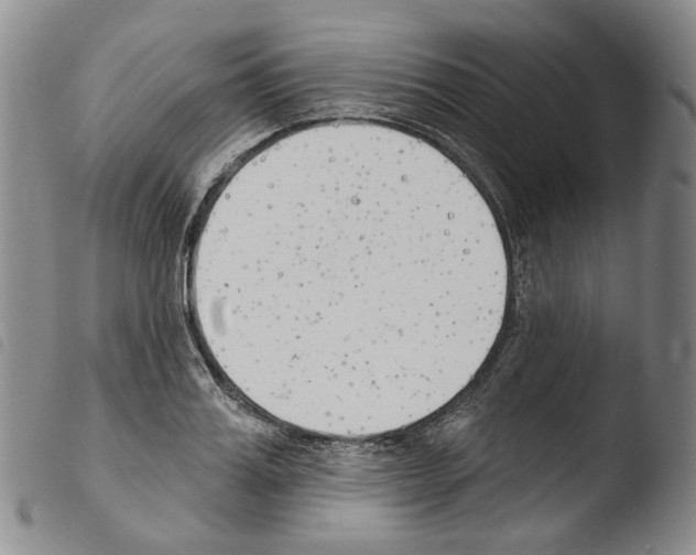 X0000103490987200810241057