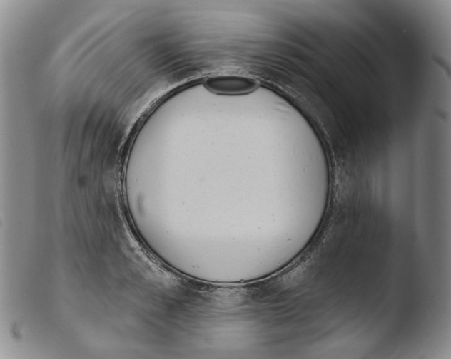 X0000103490989200810241057